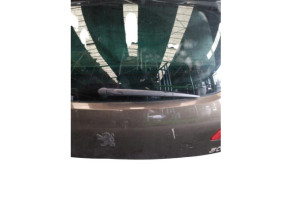 Malle/Hayon arriere PEUGEOT 3008 1 Photo n°7