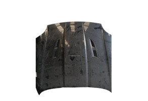 Capot JAGUAR XK 2 Photo n°3