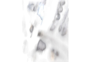 Moteur PEUGEOT 207 Photo n°7