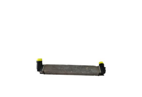 Echangeur air (Intercooler) RENAULT MEGANE 3 Photo n°1