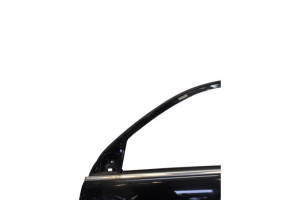 Porte avant gauche VOLKSWAGEN TIGUAN 1 Photo n°1