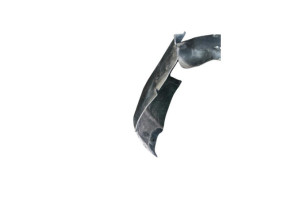 Pare boue avant gauche JAGUAR XK 2 Photo n°2