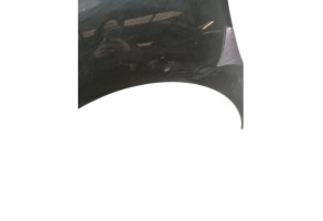 Aile avant gauche DS DS3 Photo n°1