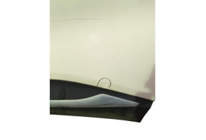 Porte arriere gauche RENAULT CAPTUR 1 Photo n°10