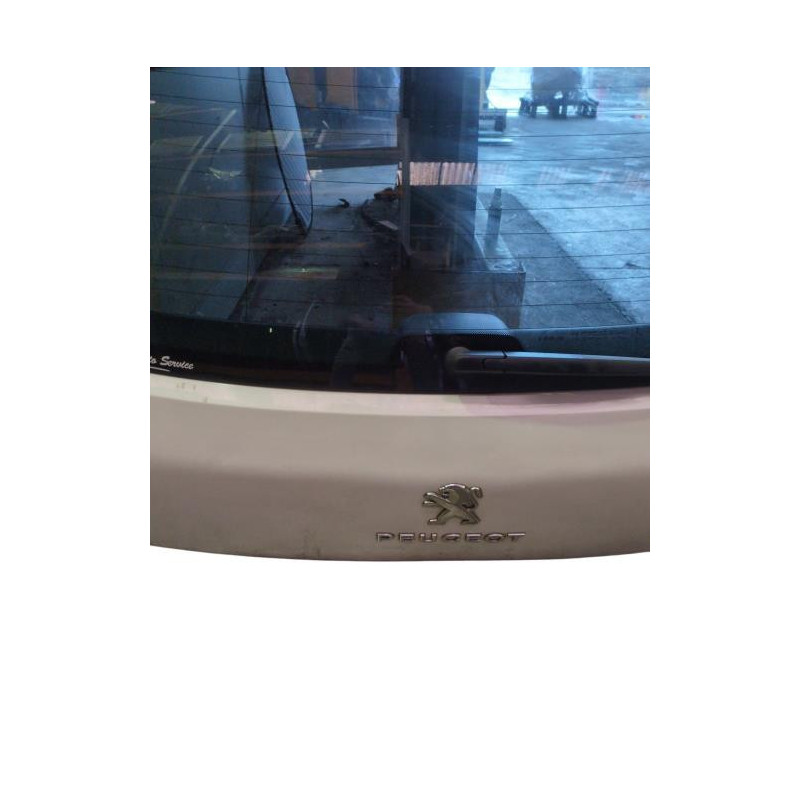 Malle/Hayon arriere PEUGEOT 3008 1 Photo n°1