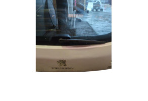 Malle/Hayon arriere PEUGEOT 3008 1 Photo n°6