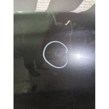 Porte arriere gauche CITROEN C4 2