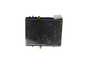 Radiateur eau PEUGEOT 3008 1 Photo n°2