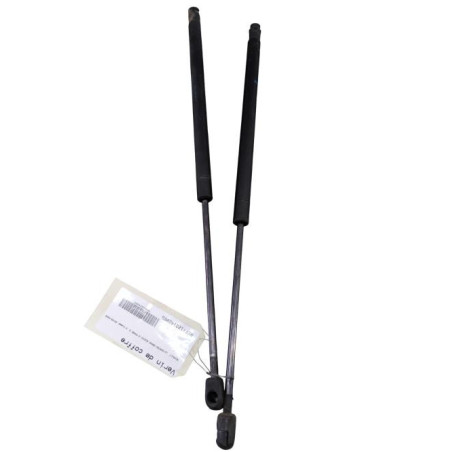 Verin de coffre RENAULT GRAND SCENIC 2