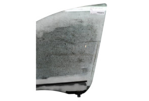 Vitre avant gauche RENAULT SCENIC 3 Photo n°1
