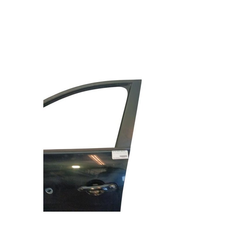 Porte avant gauche RENAULT SCENIC 3 Photo n°1