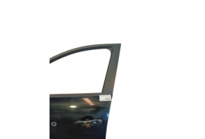 Porte avant gauche RENAULT SCENIC 3 Photo n°1