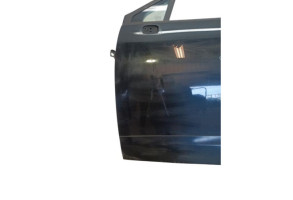 Porte avant gauche RENAULT SCENIC 3 Photo n°8