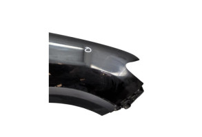 Aile avant droit DACIA SANDERO 2 Photo n°5