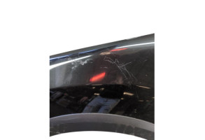 Aile avant gauche DACIA SANDERO 2 Photo n°1