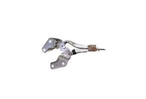 Charniere de capot RENAULT CLIO 3 Photo n°1