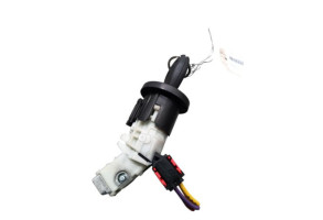 Neiman RENAULT KANGOO 2 Photo n°3