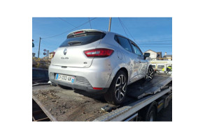 Custode avant gauche (porte) RENAULT CLIO 4 Photo n°9