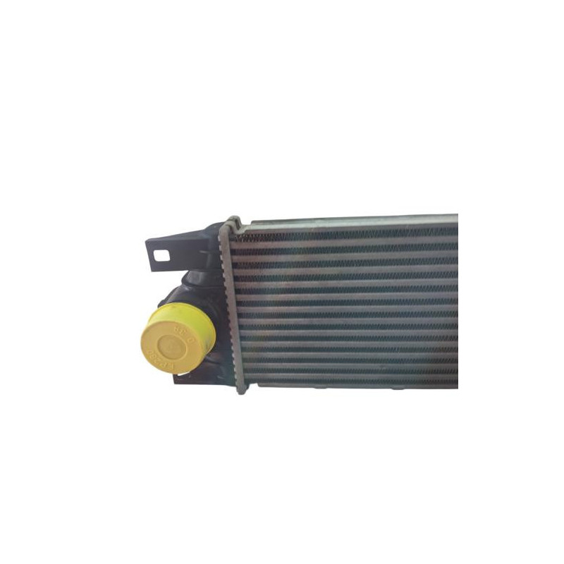 Echangeur air (Intercooler) RENAULT MASTER 2 Photo n°1