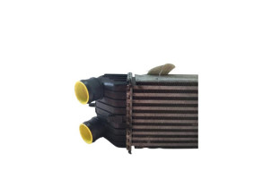 Echangeur air (Intercooler) PEUGEOT 207 Photo n°4