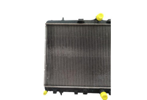Radiateur eau DS DS3 Photo n°1