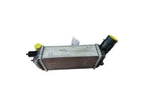 Echangeur air (Intercooler) PEUGEOT 3008 1 Photo n°5