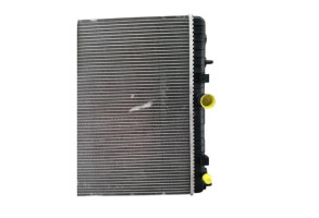 Radiateur eau PEUGEOT 3008 1 Photo n°1