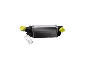 Echangeur air (Intercooler) CITROEN C5 2 Photo n°3