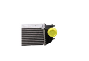 Echangeur air (Intercooler) CITROEN C5 2 Photo n°4