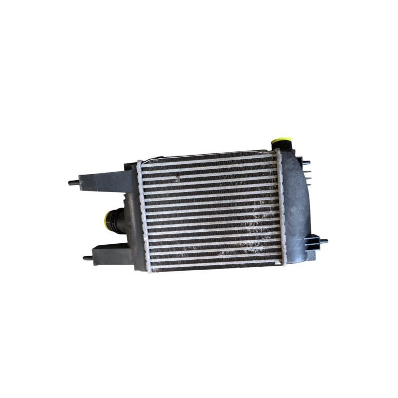 Echangeur air (Intercooler) NISSAN JUKE 1 Photo n°1