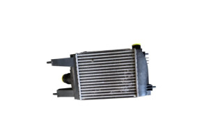 Echangeur air (Intercooler) NISSAN JUKE 1 Photo n°1