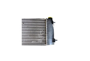 Echangeur air (Intercooler) NISSAN JUKE 1 Photo n°5