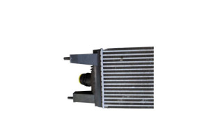 Echangeur air (Intercooler) NISSAN JUKE 1 Photo n°6