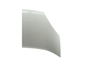 Capot RENAULT KANGOO 2 Photo n°4