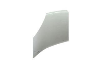 Capot RENAULT KANGOO 2 Photo n°7