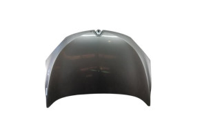 Capot RENAULT MEGANE 3 Photo n°8