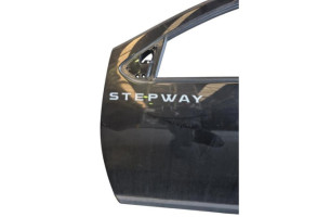 Porte avant gauche DACIA SANDERO 2 Photo n°3