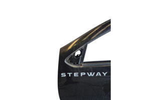 Porte avant gauche DACIA SANDERO 2 Photo n°9