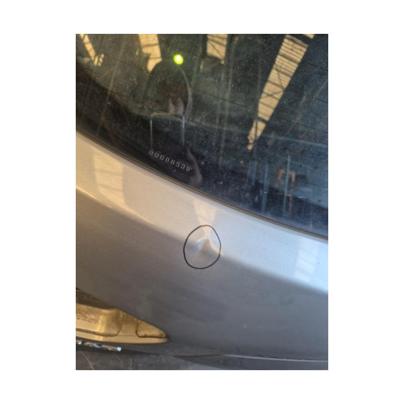 Malle/Hayon arriere NISSAN PULSAR Photo n°1