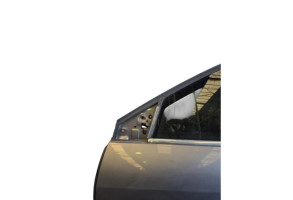 Porte avant gauche RENAULT LAGUNA 3 Photo n°9