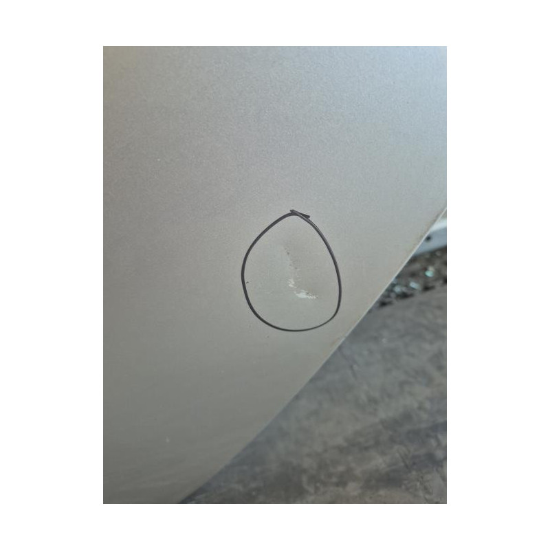 Porte arriere gauche RENAULT CLIO 3 Photo n°1