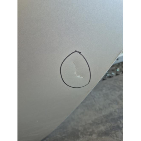 Porte arriere gauche RENAULT CLIO 3