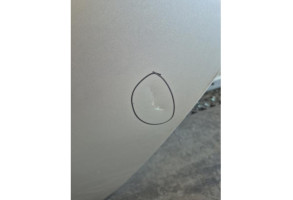 Porte arriere gauche RENAULT CLIO 3 Photo n°1