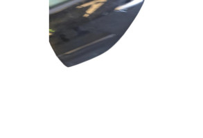 Porte arriere gauche RENAULT CLIO 3 Photo n°2