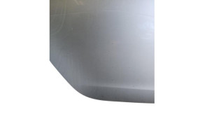 Porte arriere droit OPEL MERIVA B Photo n°6