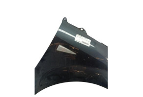 Aile avant droit RENAULT SCENIC 2 Photo n°6