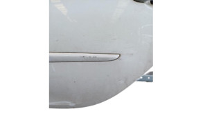 Porte arriere gauche RENAULT CLIO 3 Photo n°6