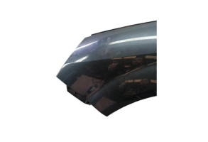 Aile avant gauche RENAULT SCENIC 2 Photo n°5