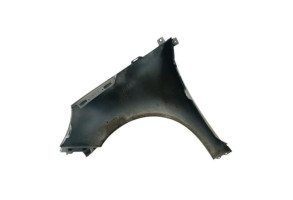 Aile avant droit RENAULT SCENIC 3 Photo n°1