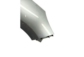 Aile avant droit RENAULT SCENIC 3 Photo n°2